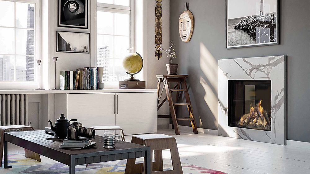 True Vision 850 DV gas